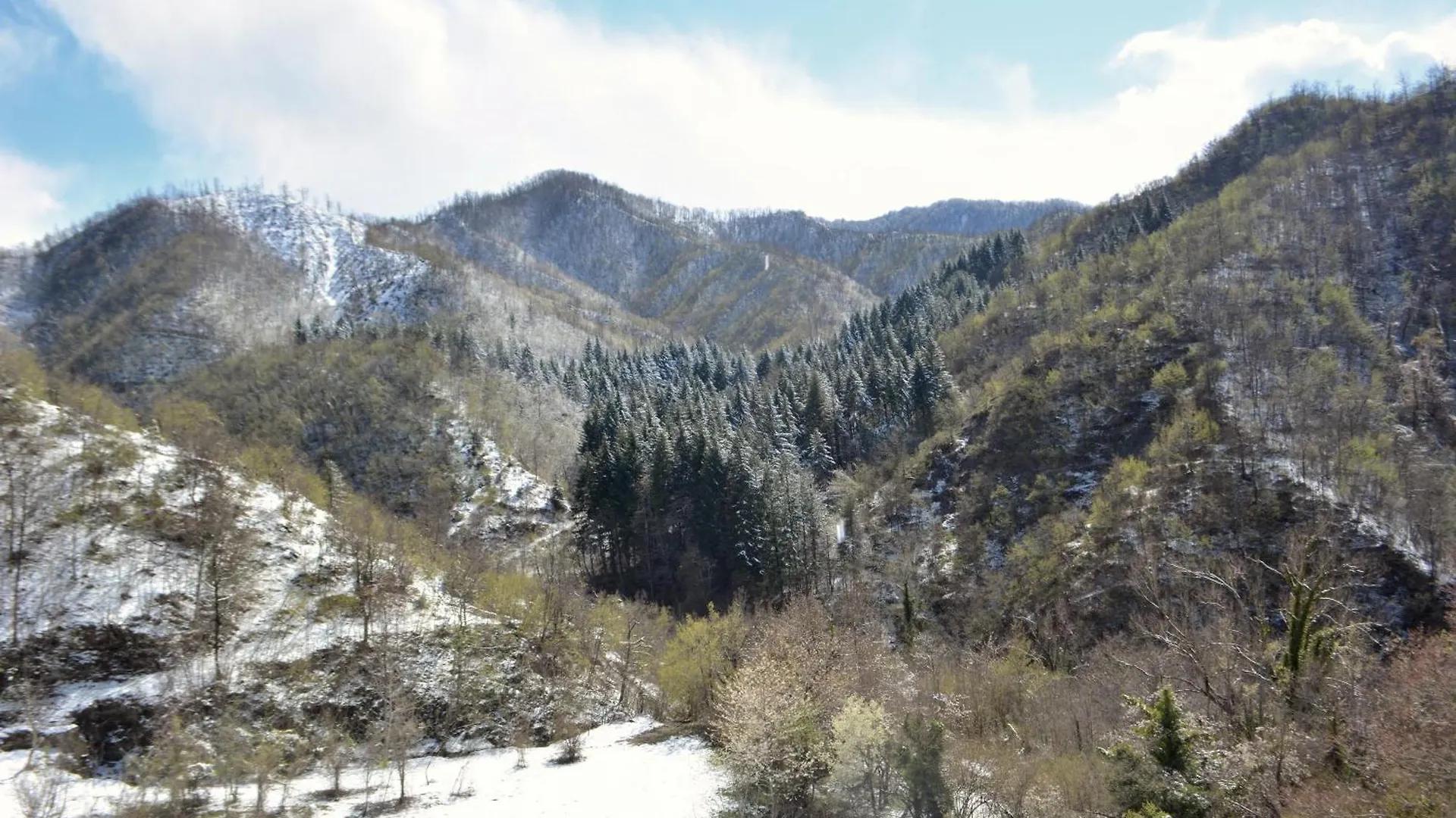 B&B Ca Bucolica-Eremo Di Trebbana Raggiungibile Solo A Piedi-Guarda Il Sito Marradi Italy